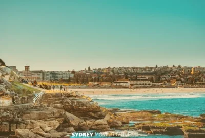 What You Need to Know About Bugs in Sydney