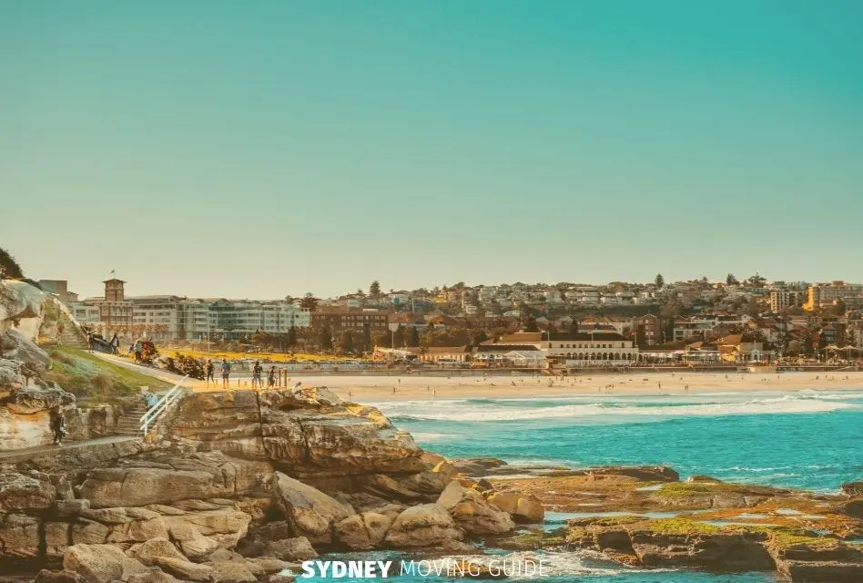 What You Need to Know About Bugs in Sydney