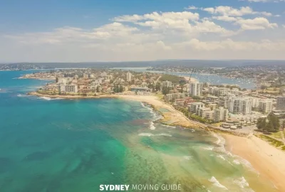 Every Pet Owner Renting in Sydney Must Have a Pet Resume