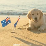 Puppy at Australian Beach