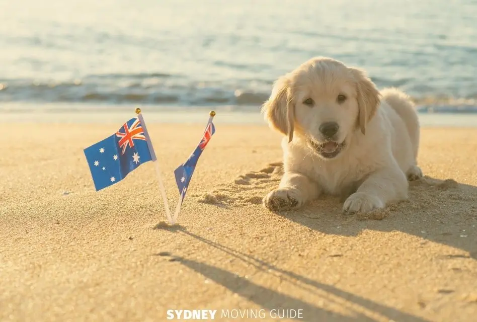 Moving to Australia with Pets: An Overview to the Process