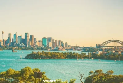 Skills in Demand Visa Rights: What You Can (and Can’t) Do