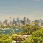View of Sydney Harbour with City Scape