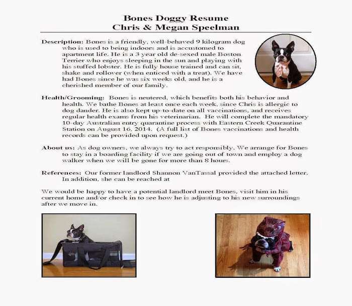 Pet Resume Example