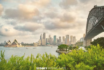 Australia’s Skills in Demand Visa: Requirements & How to Apply